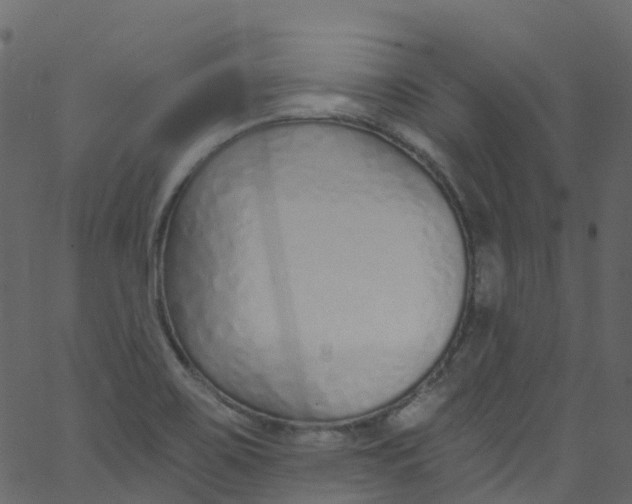X0000062691467200601111323