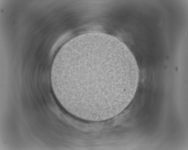 X0000062690004200601182002