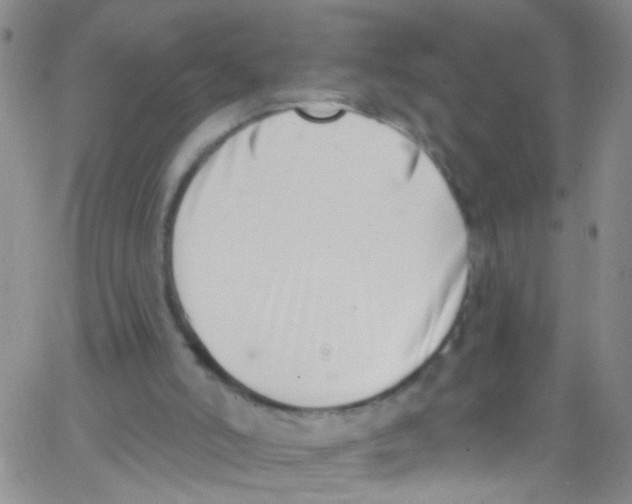 X0000062690006200601182002