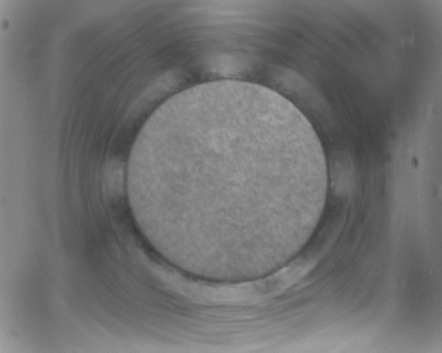 X0000062690036200601182002