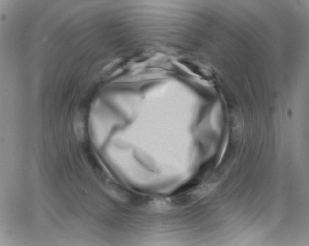 X0000062690080200601182001