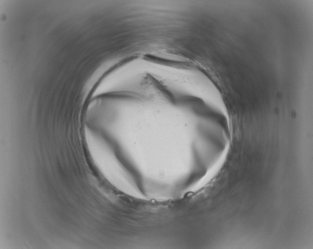 X0000062690147200601181959