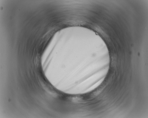 X0000062690165200601181959