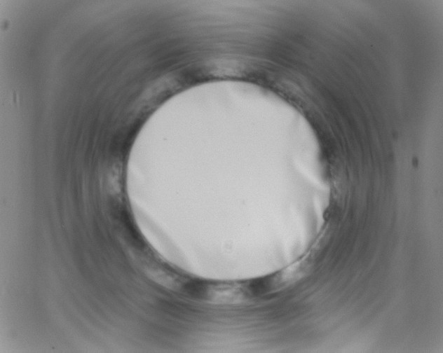 X0000062690175200601181959