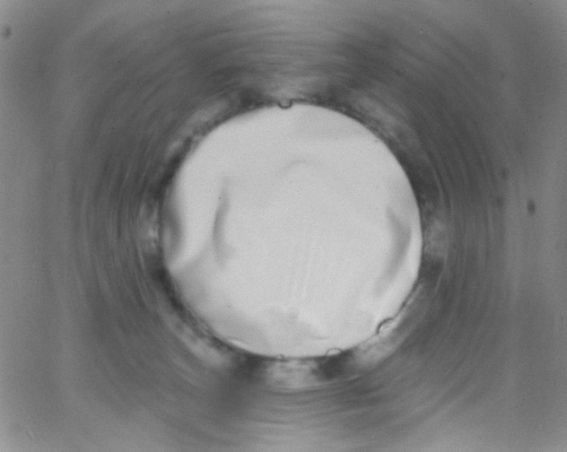 X0000062690179200601182000