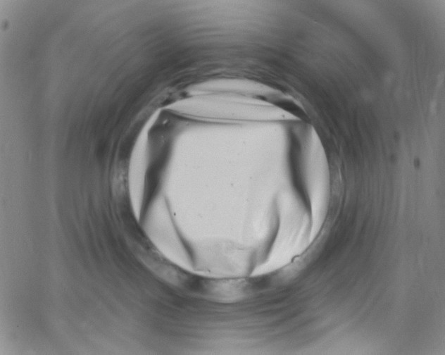 X0000062690191200601182000