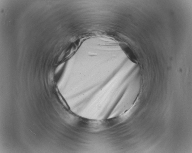 X0000062690192200601182000