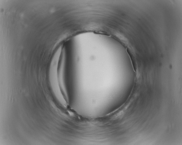 X0000062690201200601181959