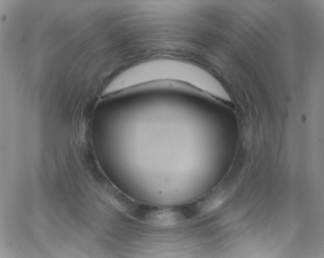 X0000062690219200601181959