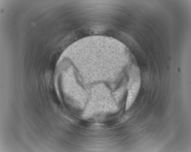 X0000062690222200601181958