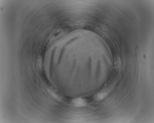 X0000062690231200601181958