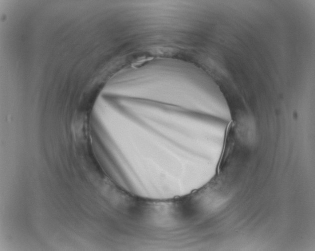X0000062690233200601181958