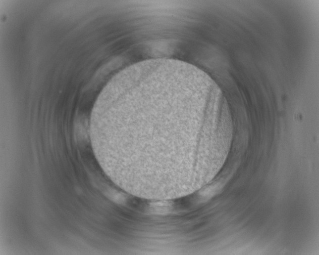 X0000062690240200601181958