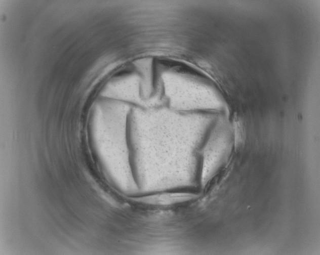 X0000062690243200601181957