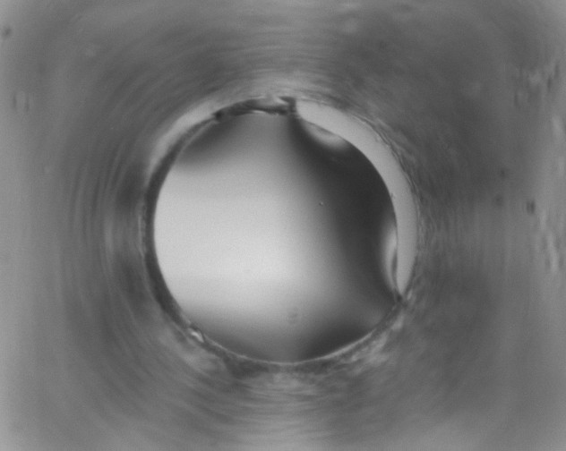 X0000062690244200601181957