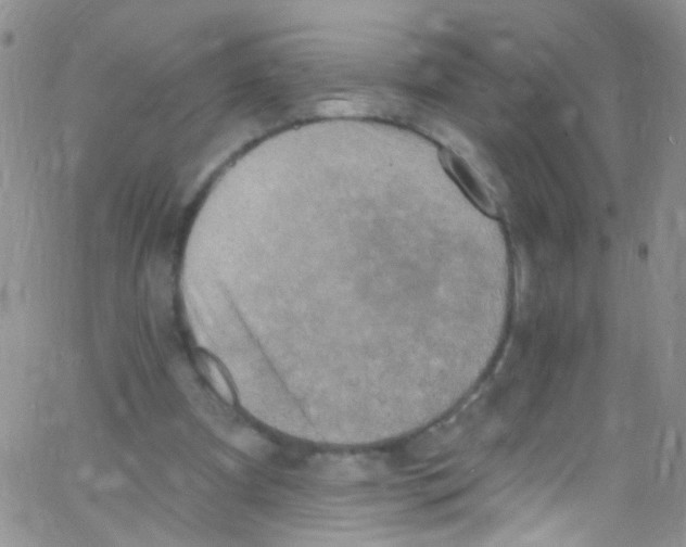 X0000062690297200601181957