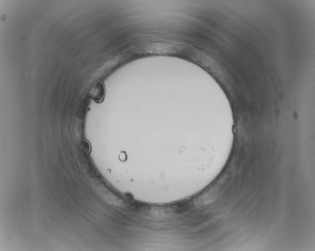 X0000062690305200601181957
