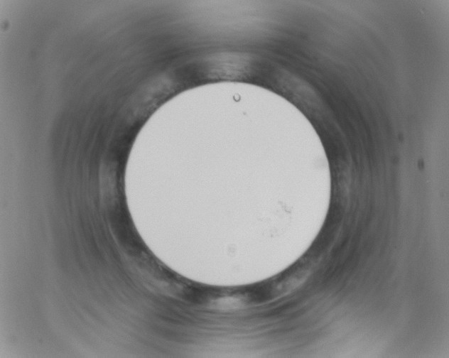 X0000062690312200601181957