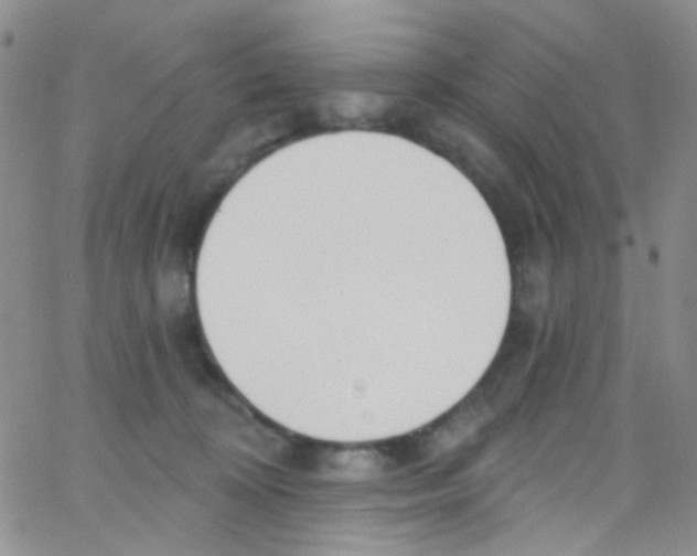 X0000062690324200601181957