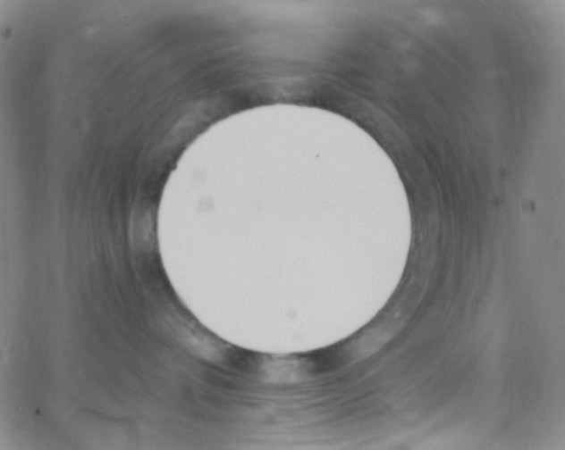X0000062690336200601181957