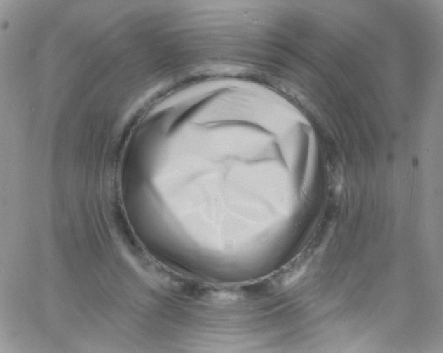 X0000062690352200601181956
