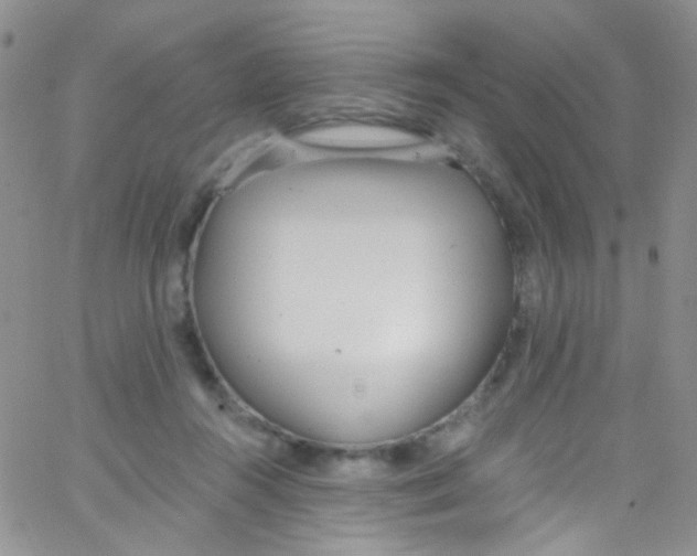 X0000062690360200601181956
