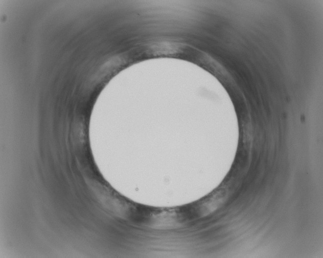 X0000062690362200601181956