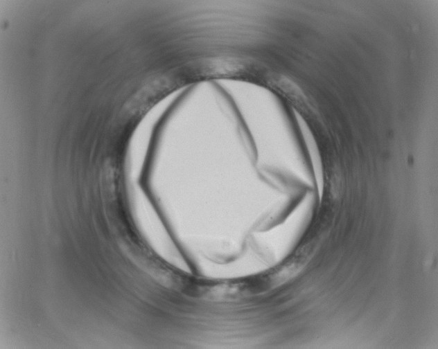 X0000062690366200601181956