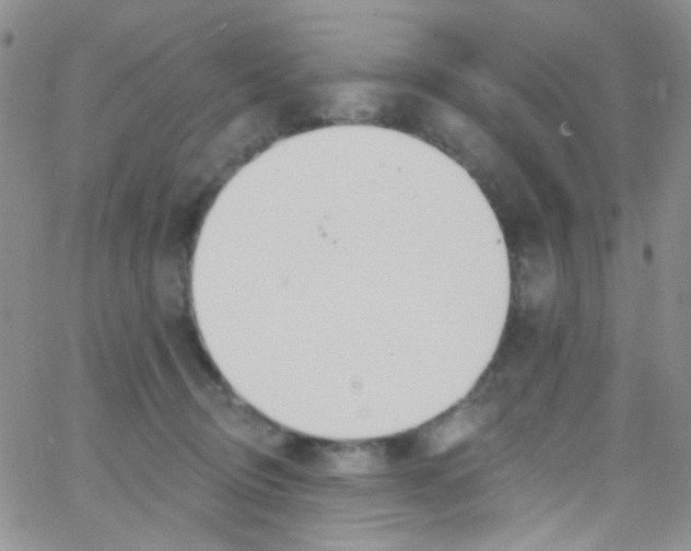 X0000062690370200601181956