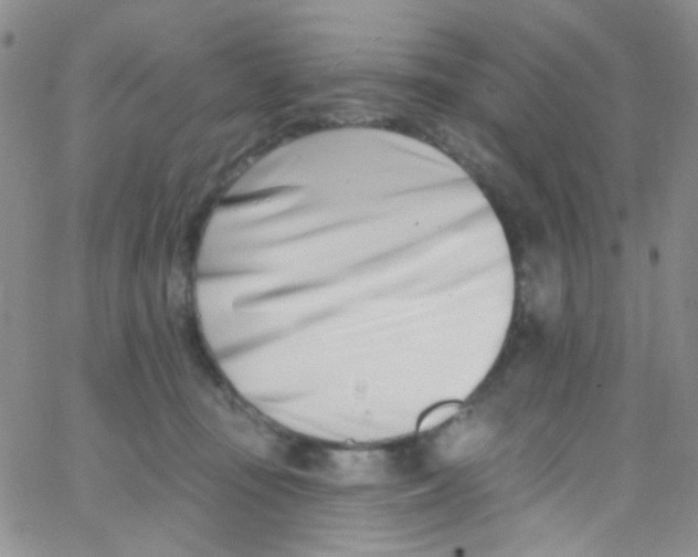 X0000062690371200601181956