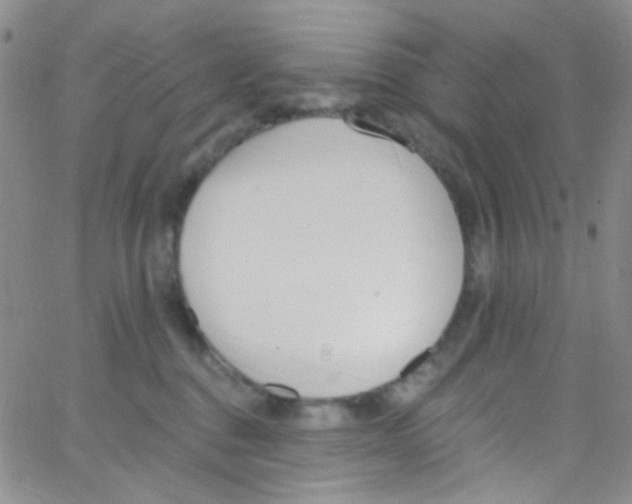 X0000062690376200601181956