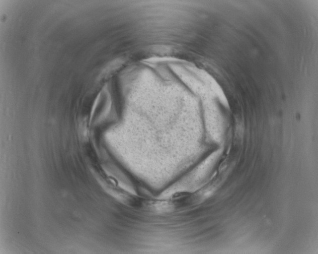 X0000062690383200601181957
