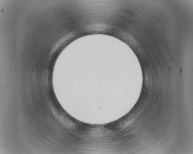 X0000062690396200601181956