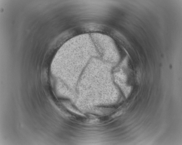 X0000062690410200601181955