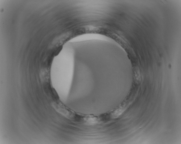 X0000062690419200601181955