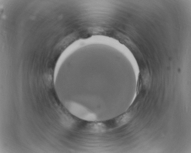 X0000062690427200601181955