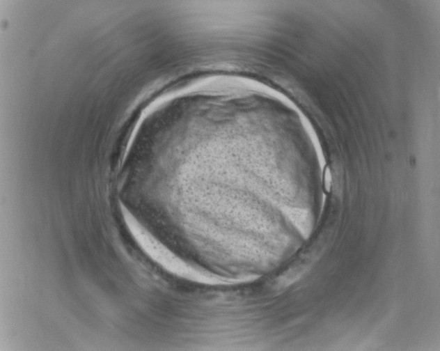 X0000062690434200601181954