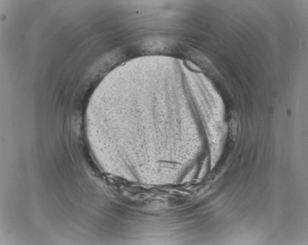 X0000062690458200601181955