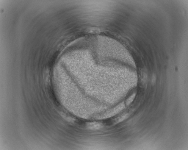 X0000062690511200601181954