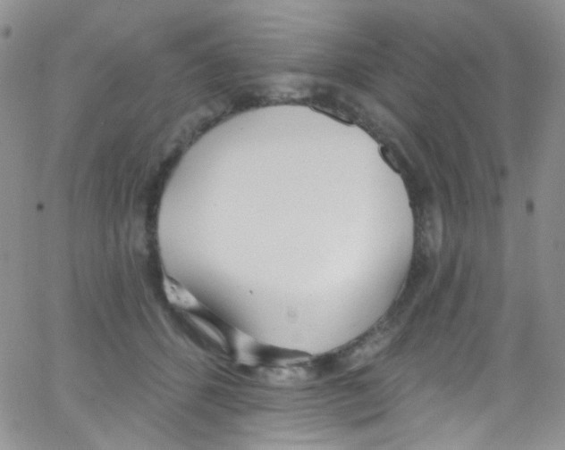 X0000062690512200601181954