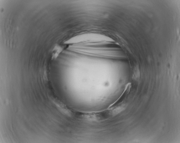 X0000062690524200601181954