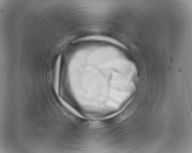 X0000062690528200601181953