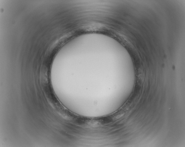 X0000062690547200601181953