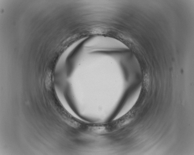 X0000062690554200601181953