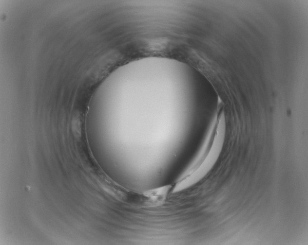 X0000062690562200601181953