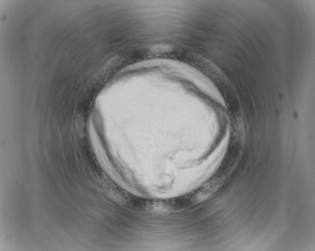 X0000062690565200601181953