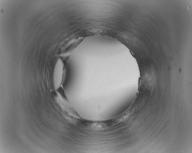 X0000062690566200601181953