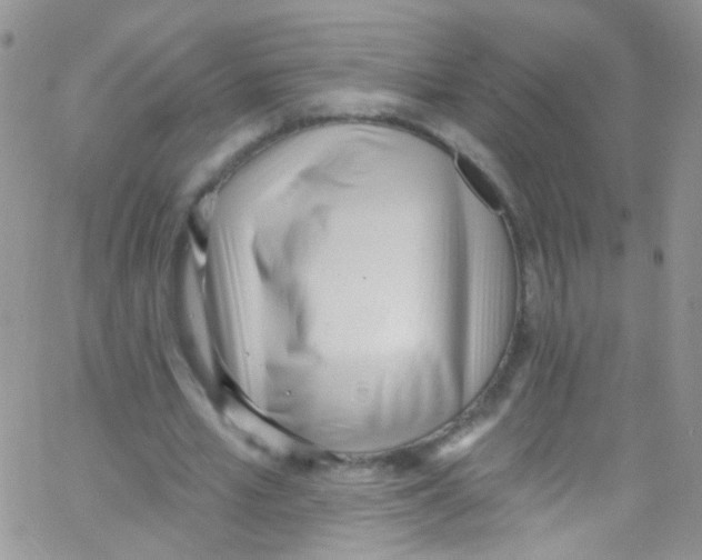 X0000062690581200601181953