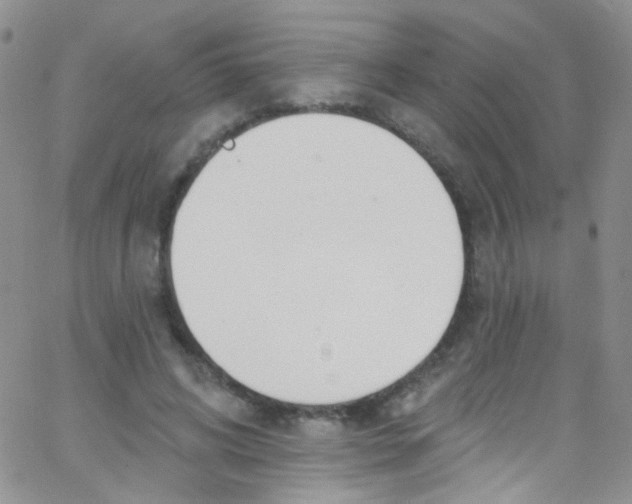 X0000062690592200601181952