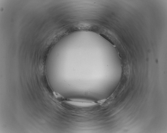 X0000062690604200601181952